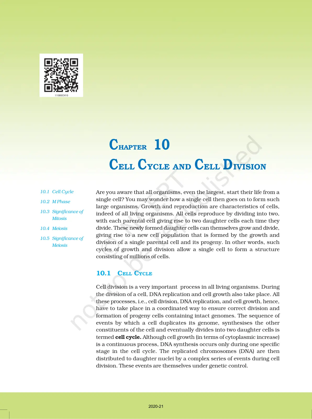 غلاف تقرير CELL CYCLE AND CELL