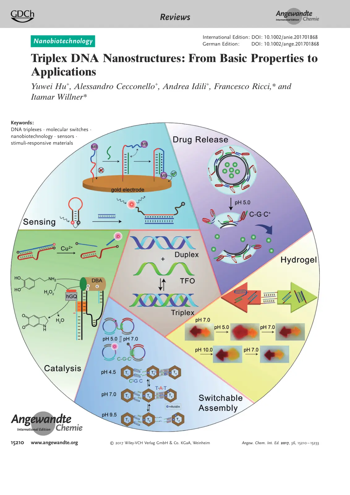 غلاف تقرير Triplex DNA Nanostructures: From Basic Properties to Applications