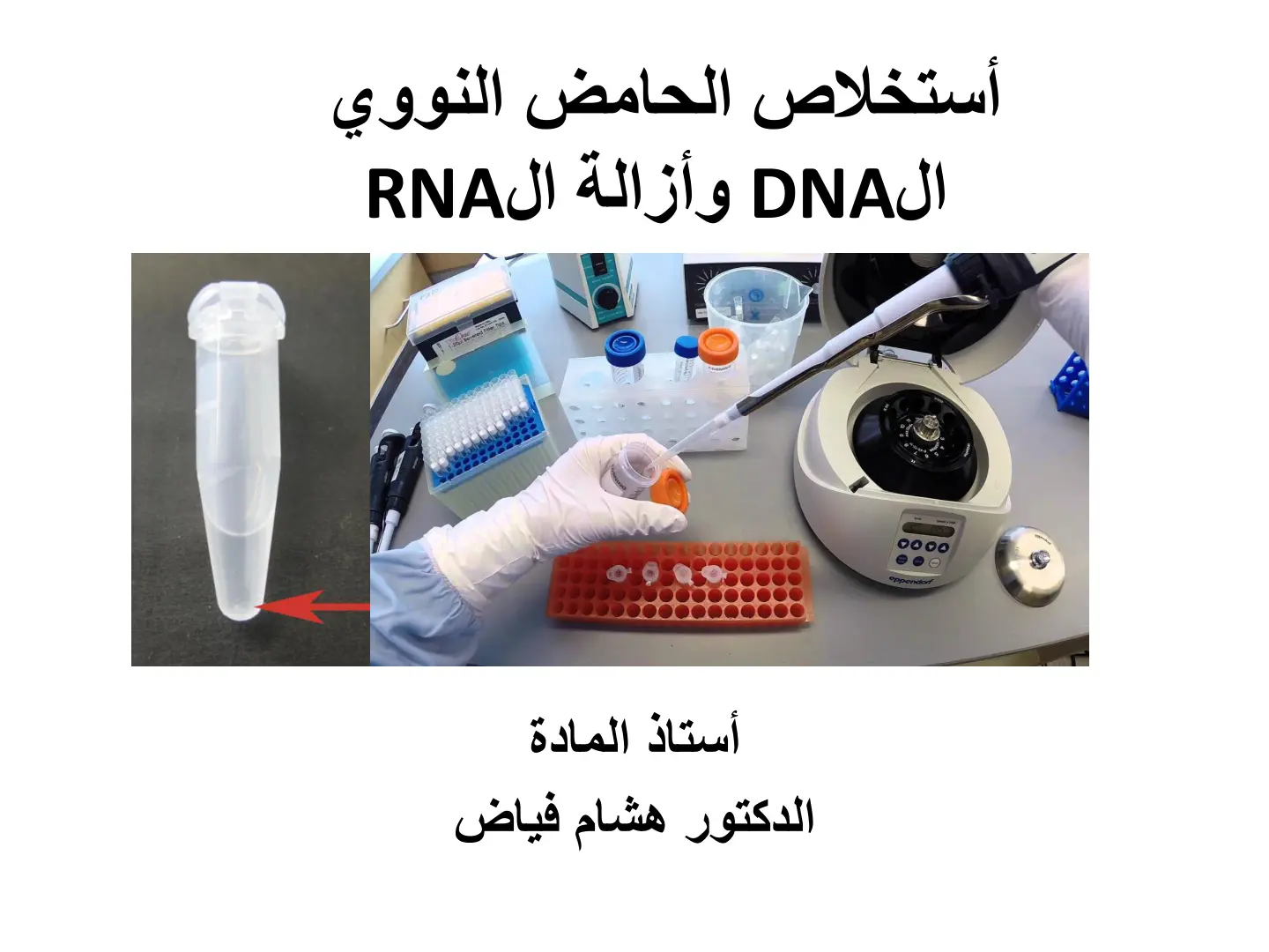 غلاف تقرير استخلاص الحامض النووي الDNA وأزالة ال RNA