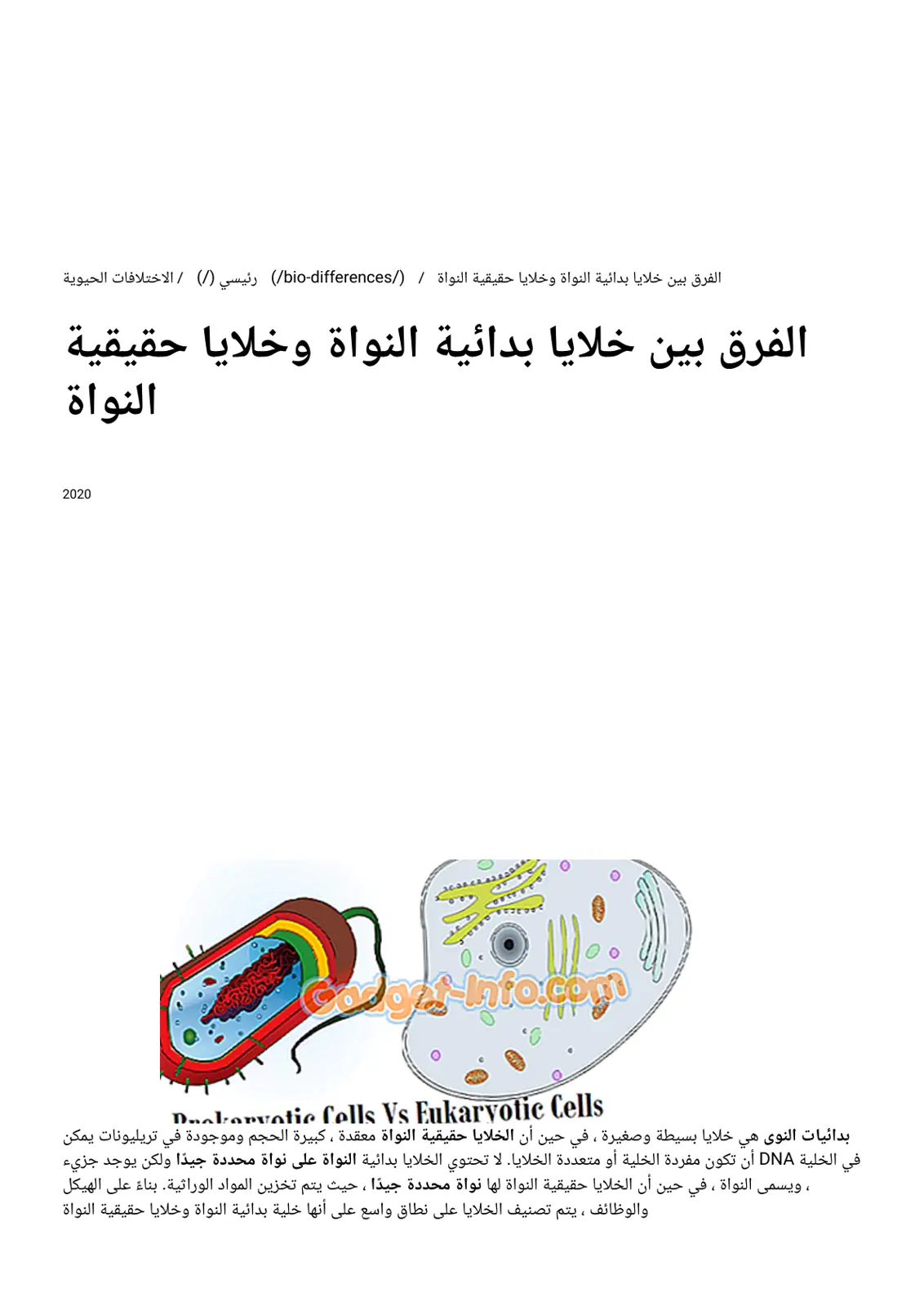غلاف تقرير الفرق بين خلايا بدائية النواة وخلايا حقيقية النواة