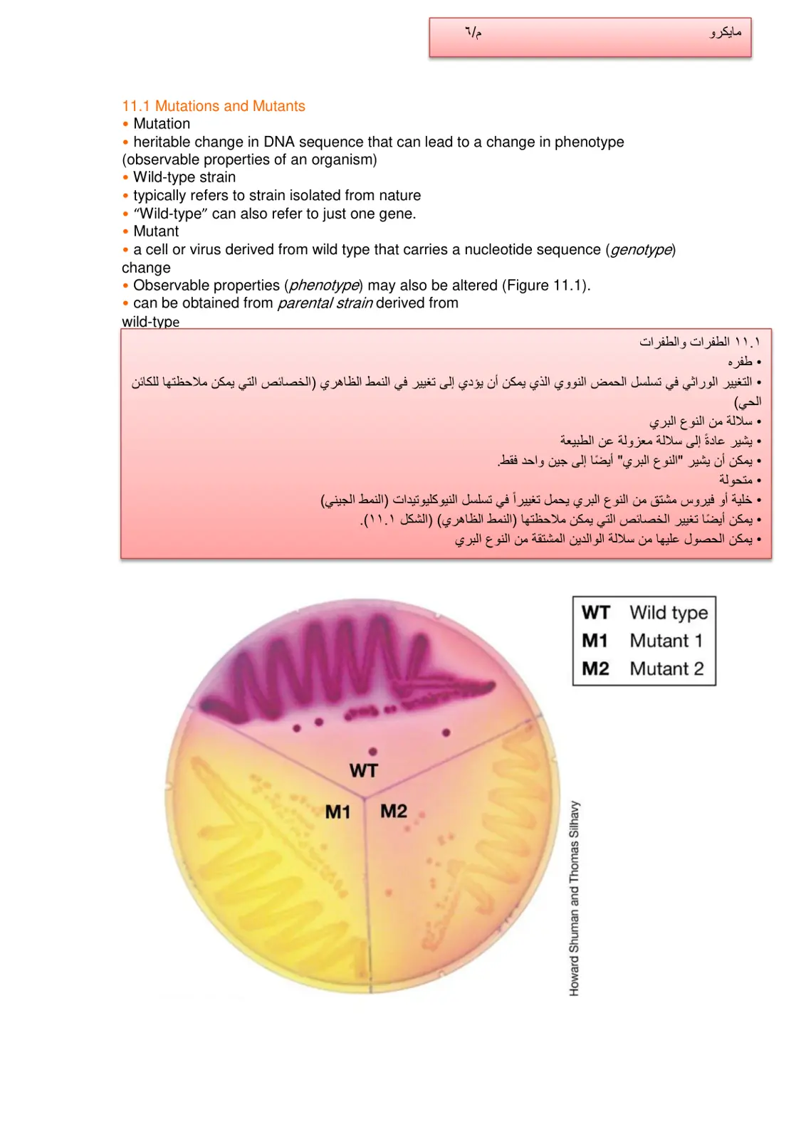 غلاف تقرير Mutations and Mutants