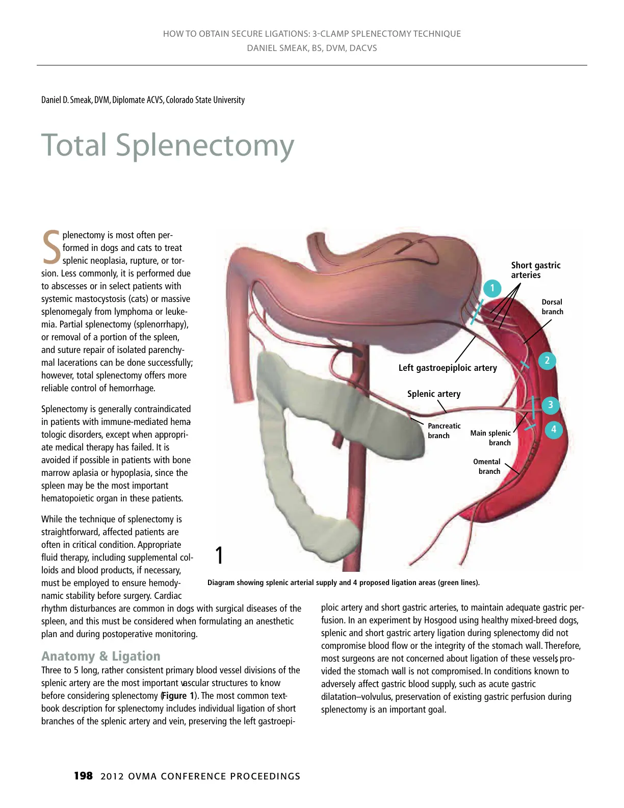 غلاف تقرير HOW TO OBTAIN SECURE LIGATIONS: 3-CLAMP SPLENECTOMY TECHNIQUE