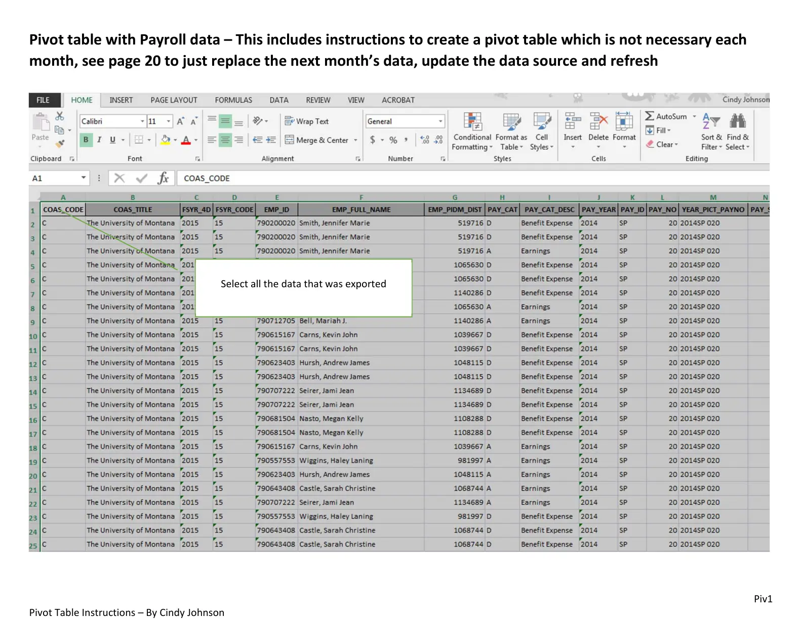 غلاف تقرير Pivot Table with Payroll Data