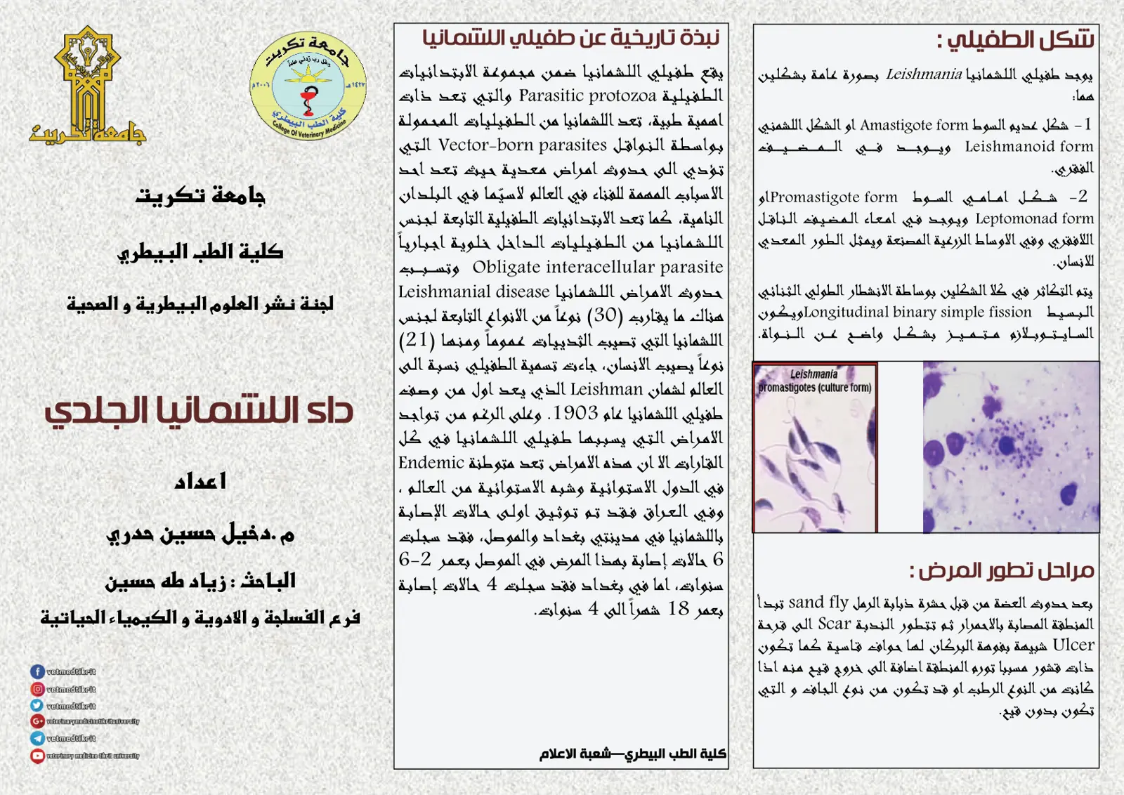 غلاف تقرير نبذة تاريخية عن طفيلي اللشمانيا