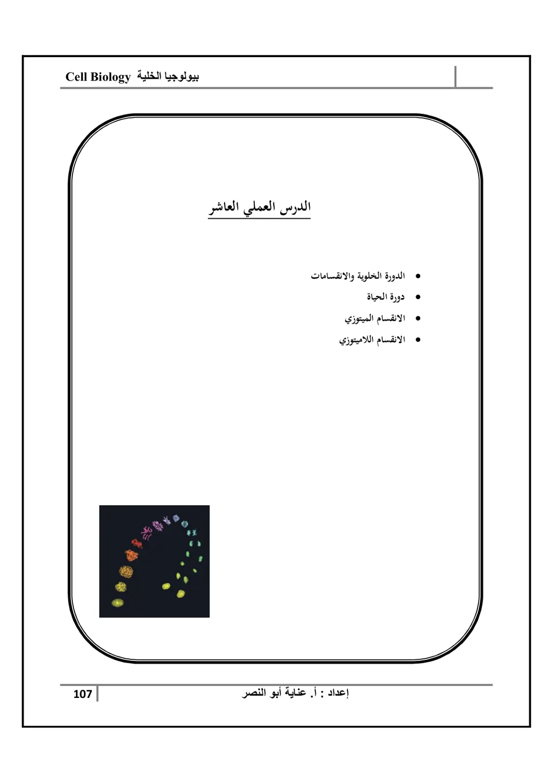 غلاف تقرير الدورة الخلوية والانقسامات (بيولوجيا الخلية)
