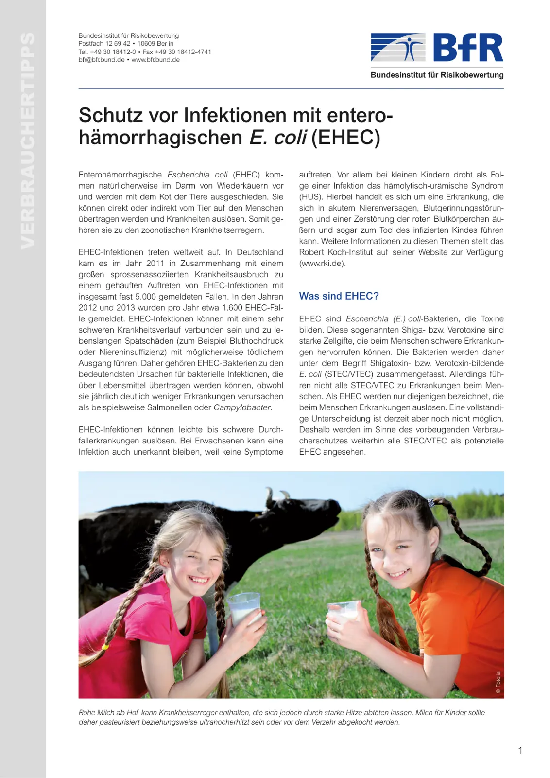 غلاف تقرير Schutz vor Infektionen mit entero-hämorrhagischen E. coli (EHEC)