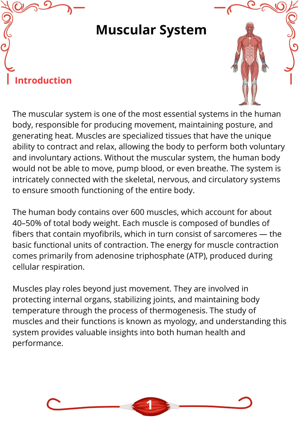 غلاف تقرير The Muscular System