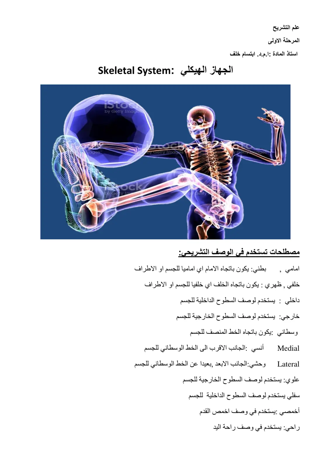 غلاف تقرير علم التشريح: الجهاز الهيكلي