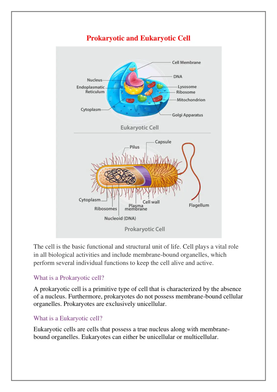 غلاف تقرير Prokaryotic and Eukaryotic Cell