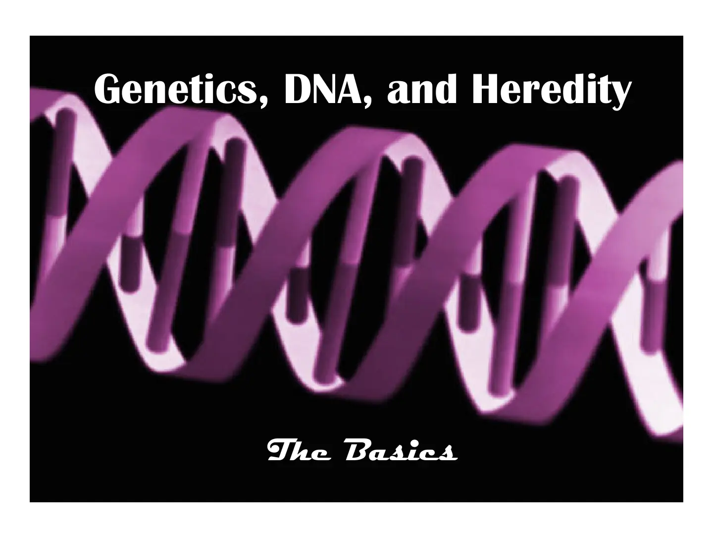 غلاف تقرير Genetics, DNA, and Heredity The Basics
