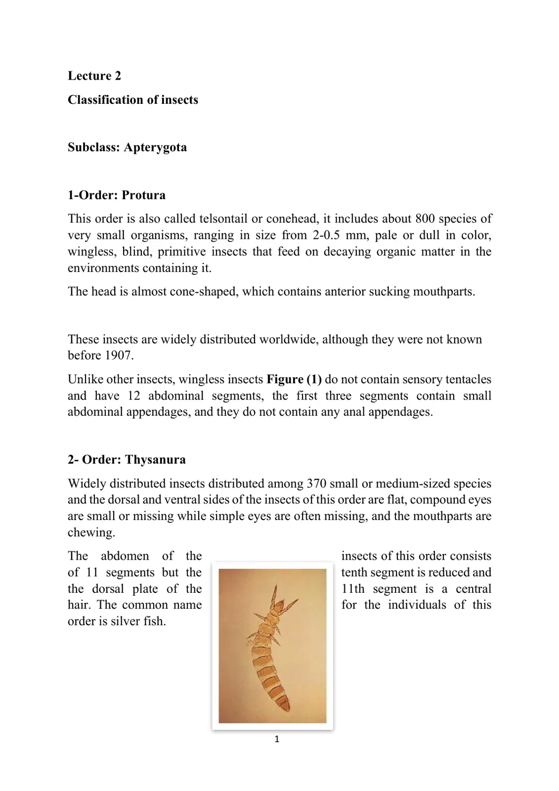 غلاف تقرير Lecture 2 Classification of insects - Subclass: Apterygota