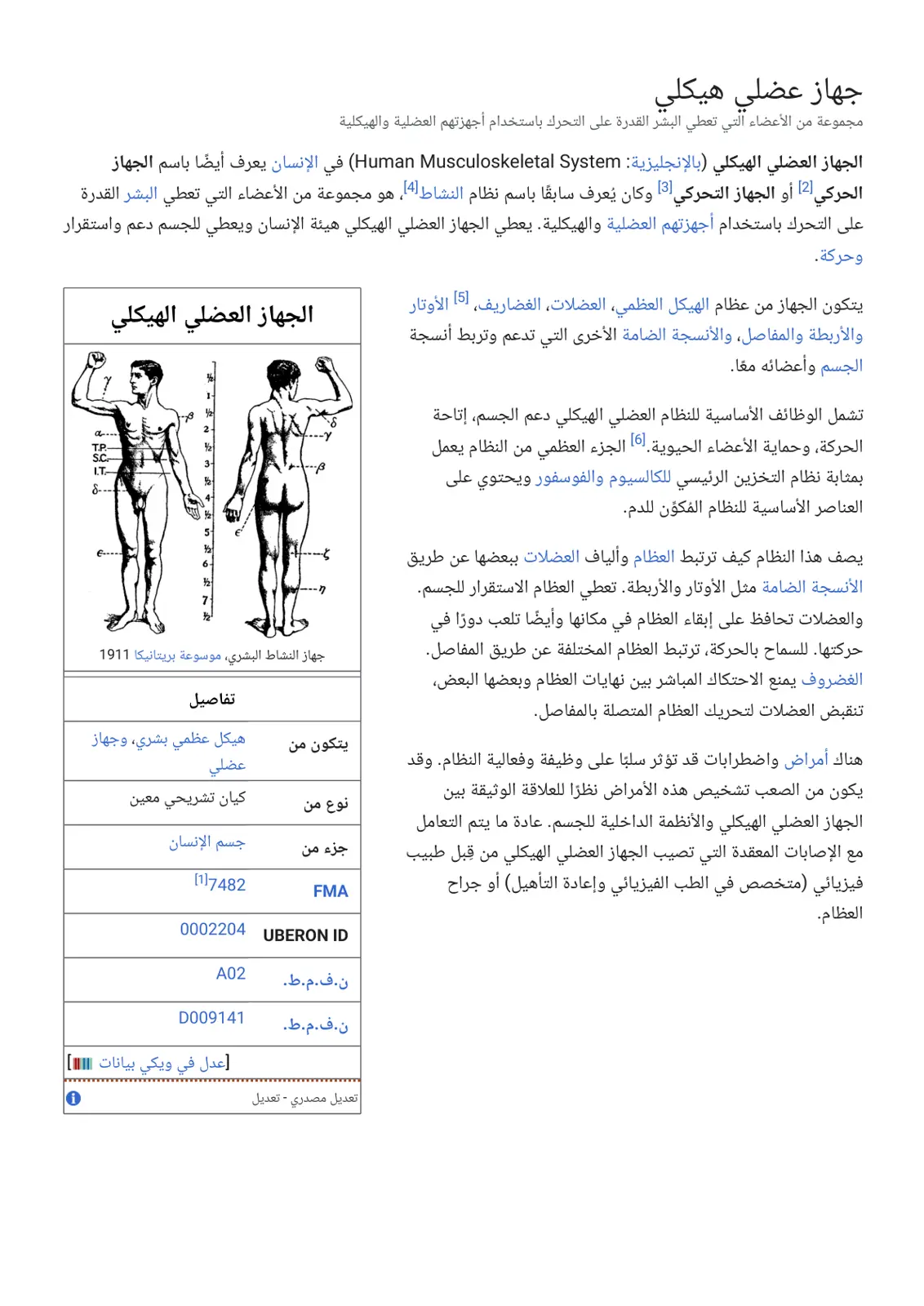 غلاف تقرير الجهاز العضلي الهيكلي البشري