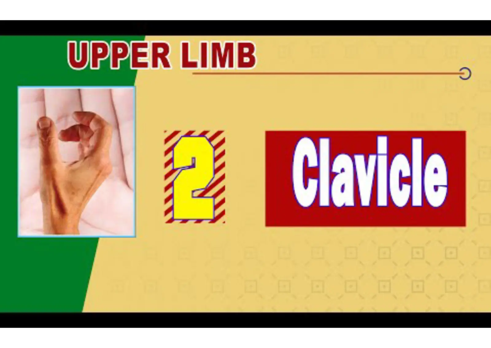غلاف تقرير UPPER LIMB Clavicle