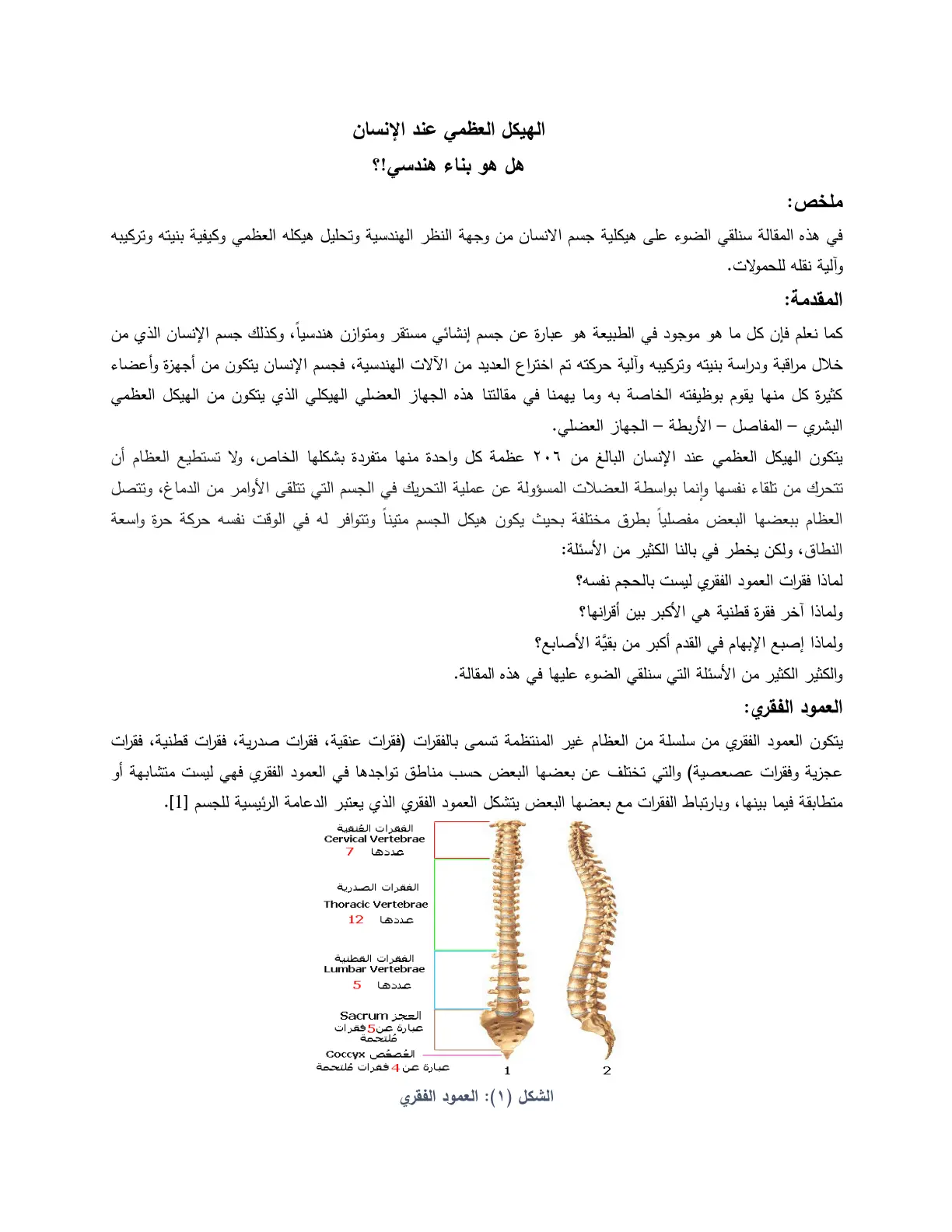 غلاف تقرير الهيكل العظمي عند الإنسان هل هو بناء هندسي!؟