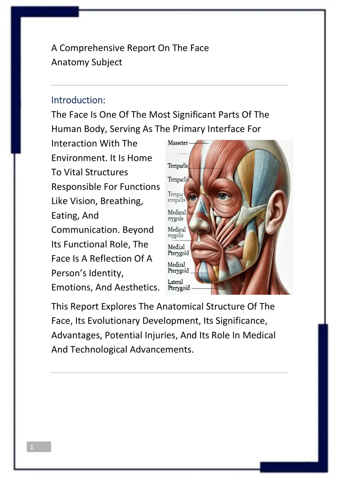 غلاف تقرير A Comprehensive Report On The Face Anatomy Subject