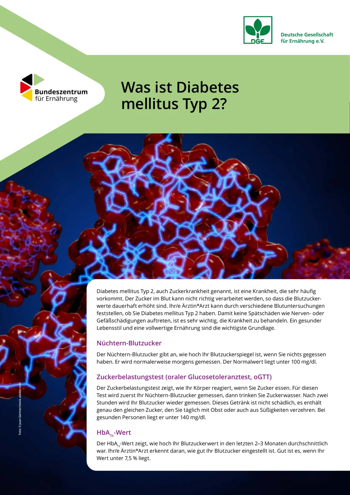 غلاف تقرير Was ist Diabetes mellitus Typ 2?