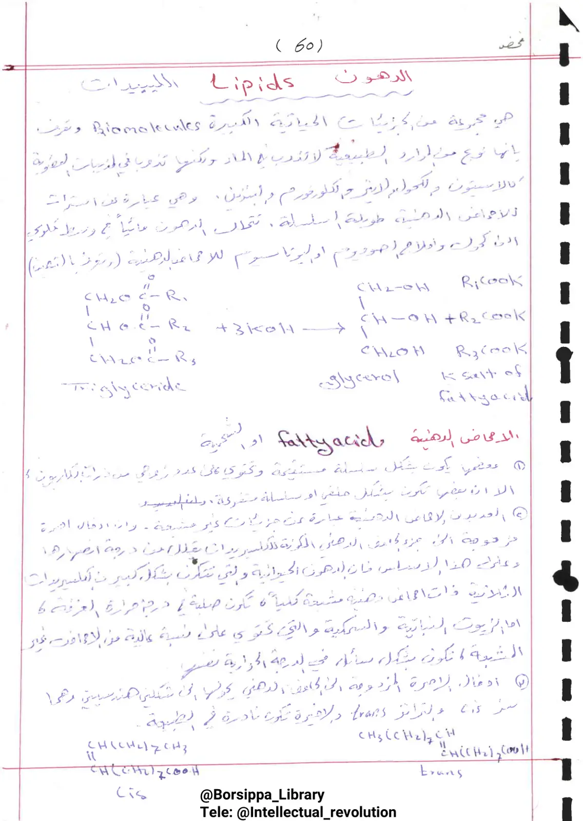غلاف تقرير الدهون Lipids الليبيدات