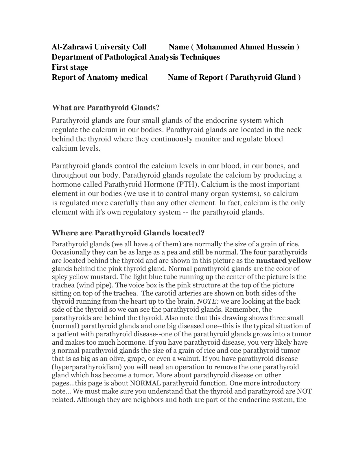 غلاف تقرير Anatomy Medical Report: Parathyroid Gland