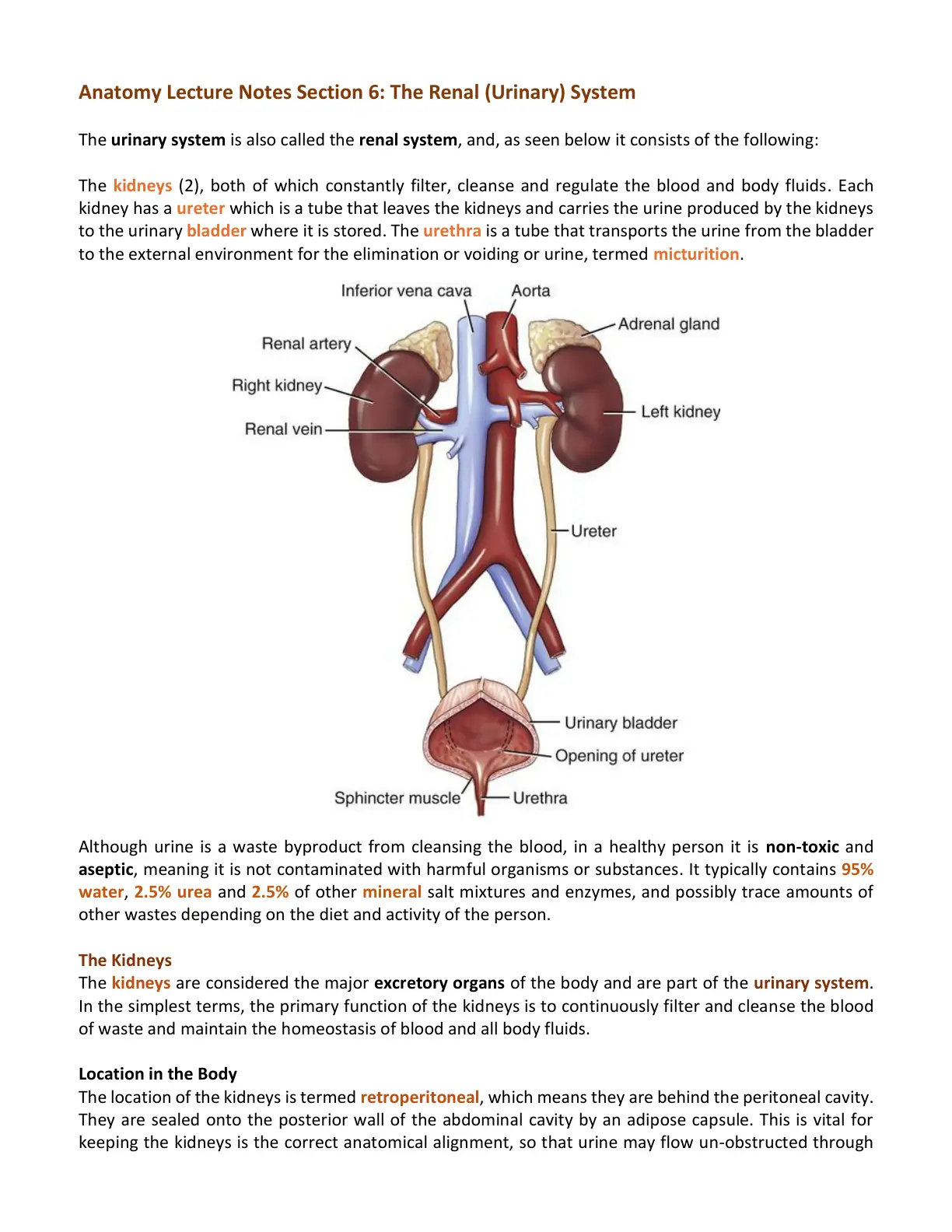 غلاف تقرير Anatomy Lecture Notes Section 6: The Renal (Urinary) System