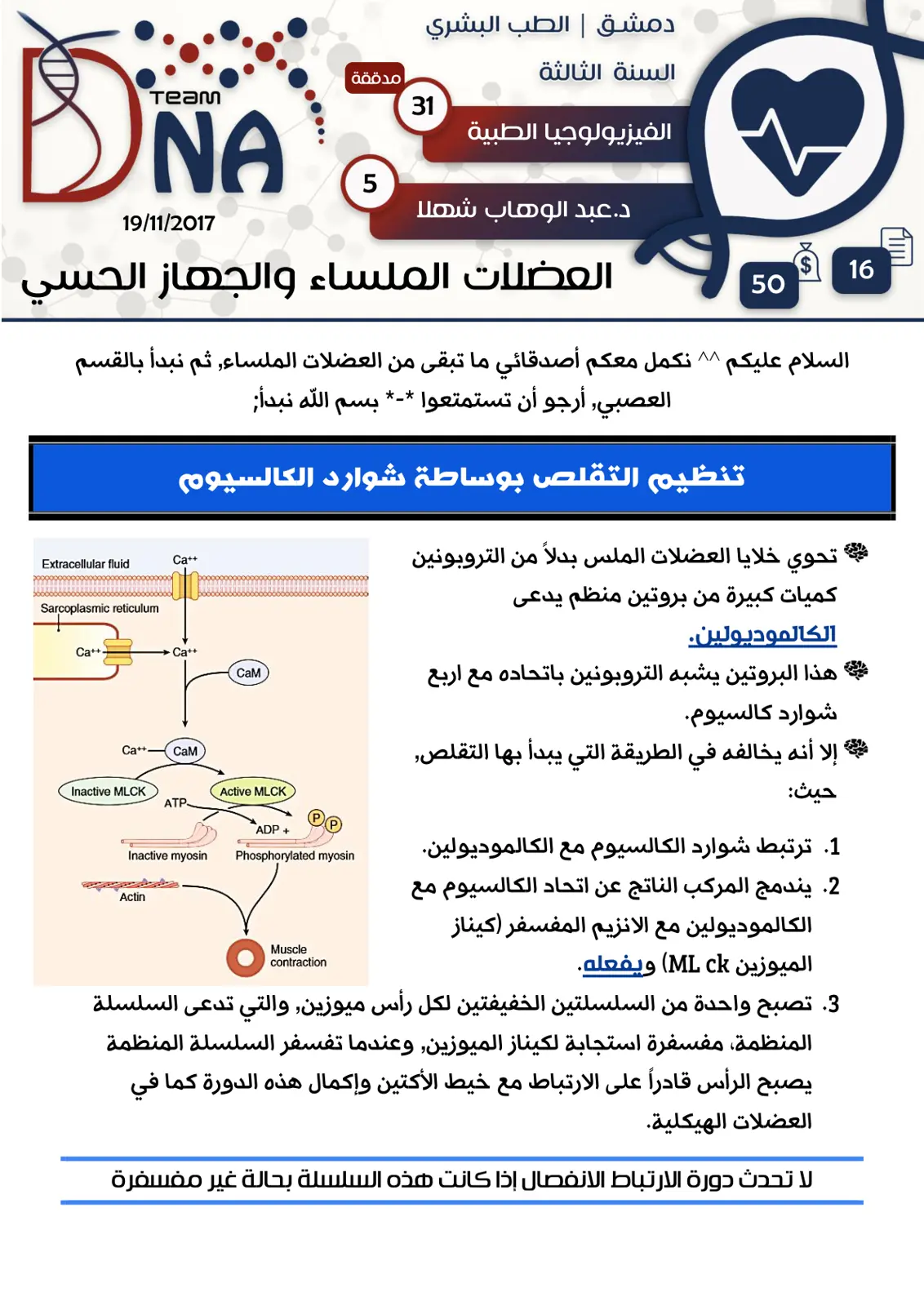 غلاف تقرير العضلات الملساء والجهاز الحسي – الفزيولوجيا الطبية