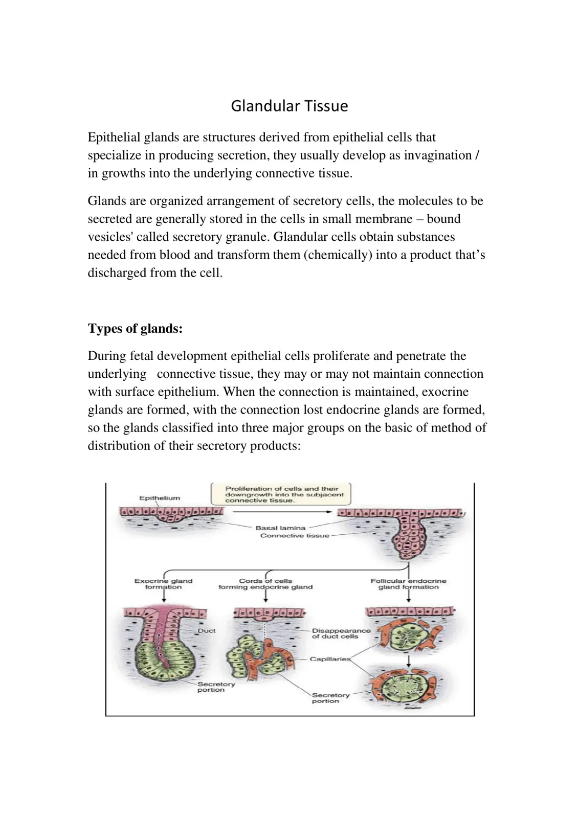 غلاف تقرير Glandular Tissue