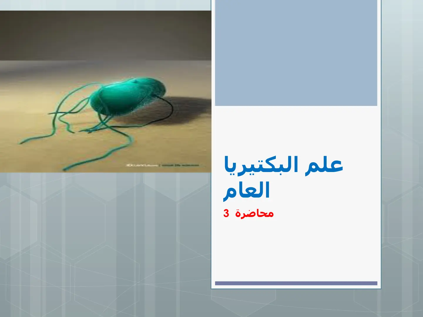 غلاف تقرير علم البكتيريا العام محاضرة 3
