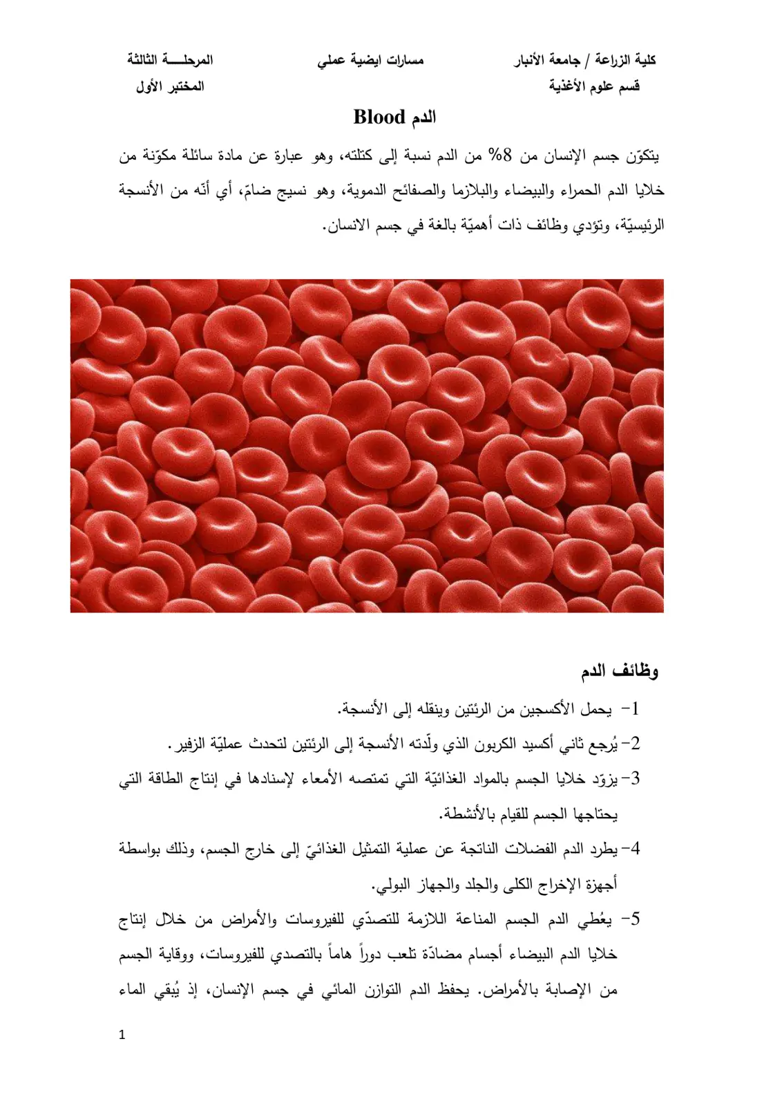 غلاف تقرير مسارات ايضية عملي: المختبر الأول الدم Blood