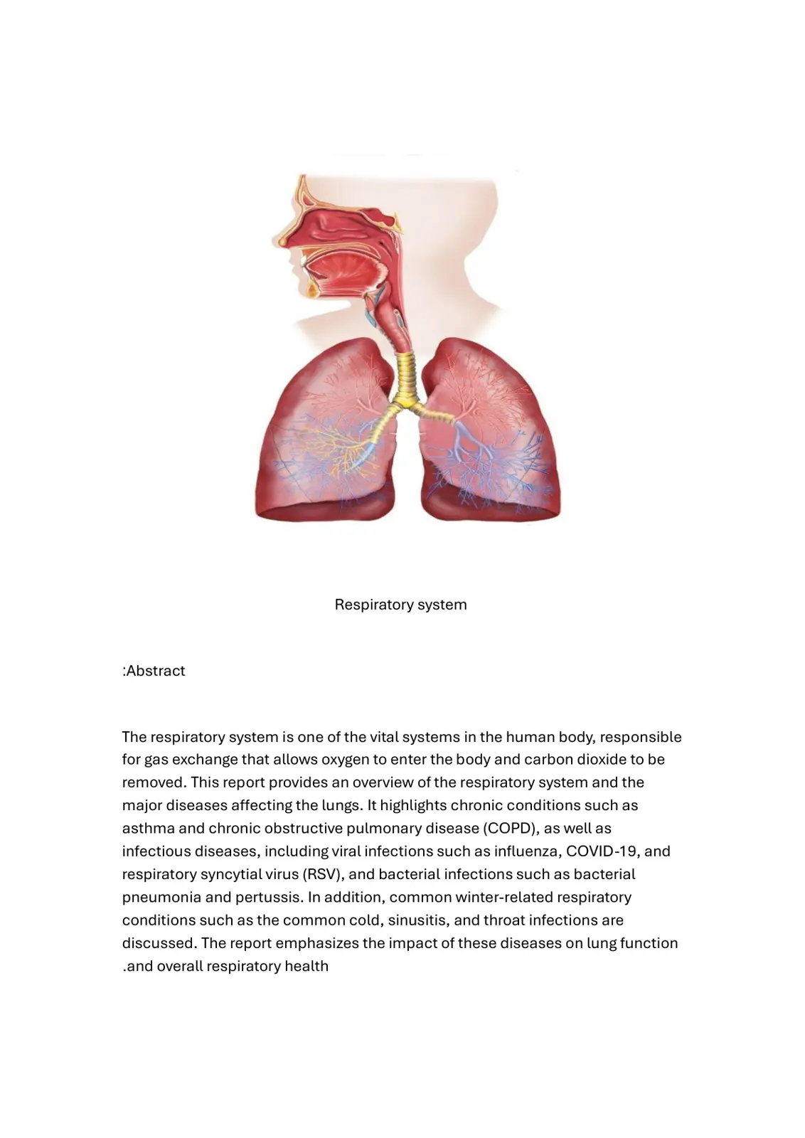 غلاف تقرير Respiratory System Overview and Major Diseases