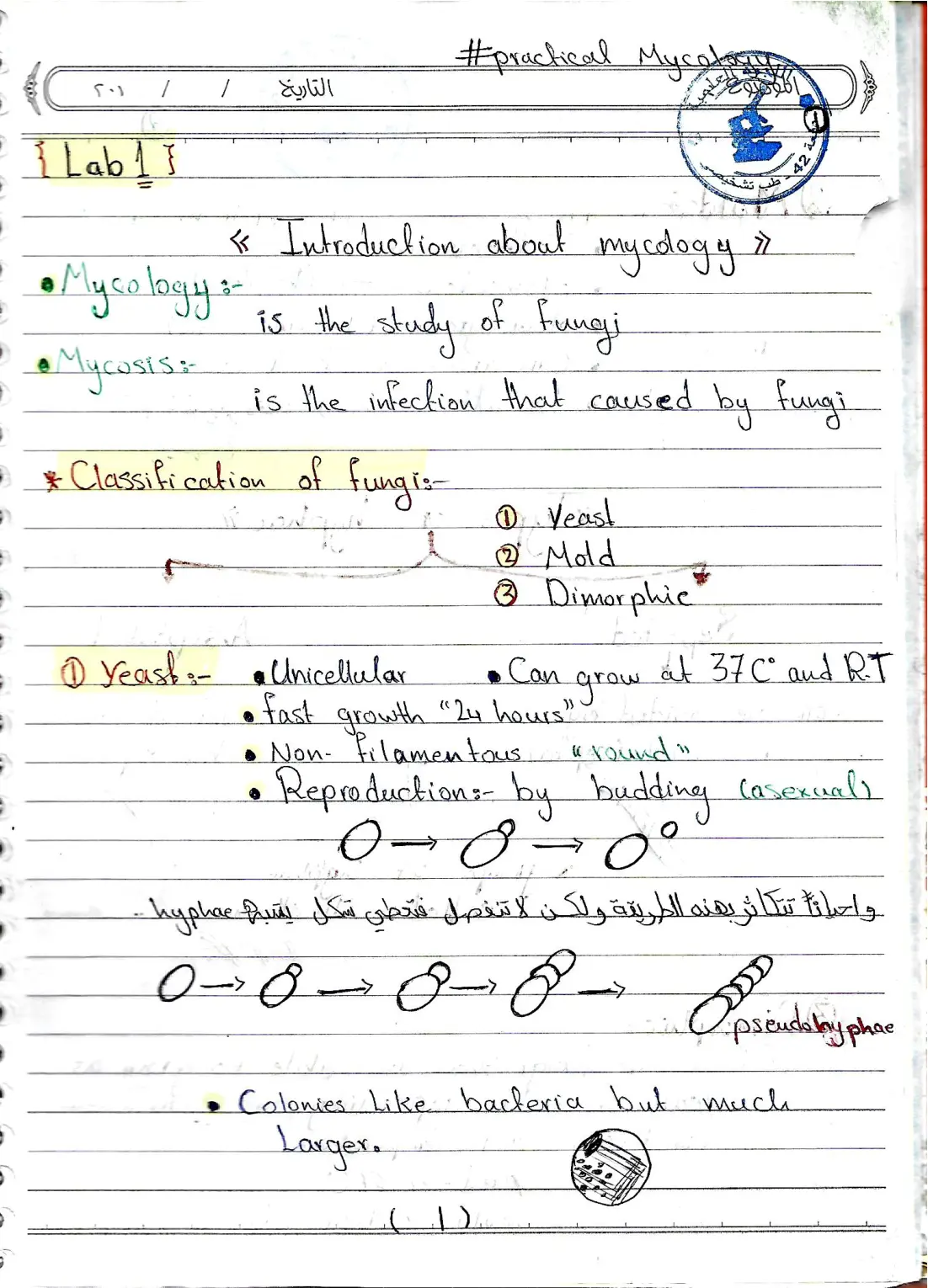 غلاف تقرير Lab 1 - Introduction about Mycology