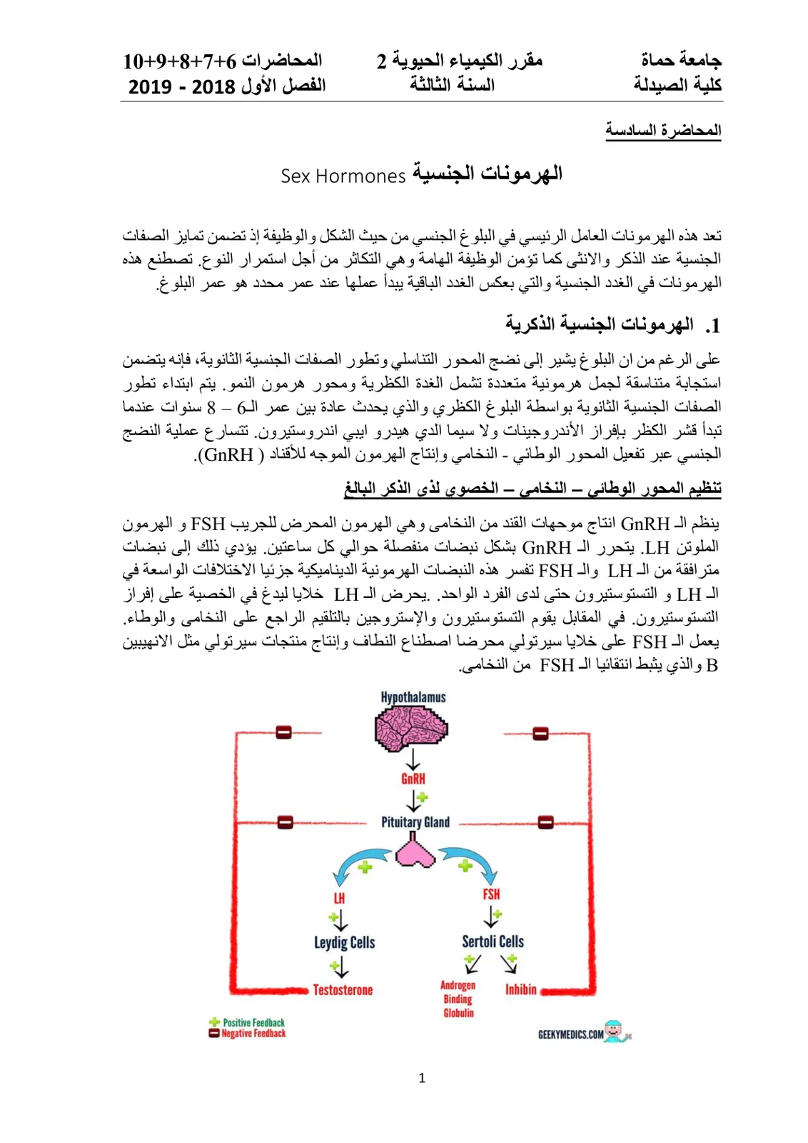 غلاف تقرير الهرمونات الجنسية