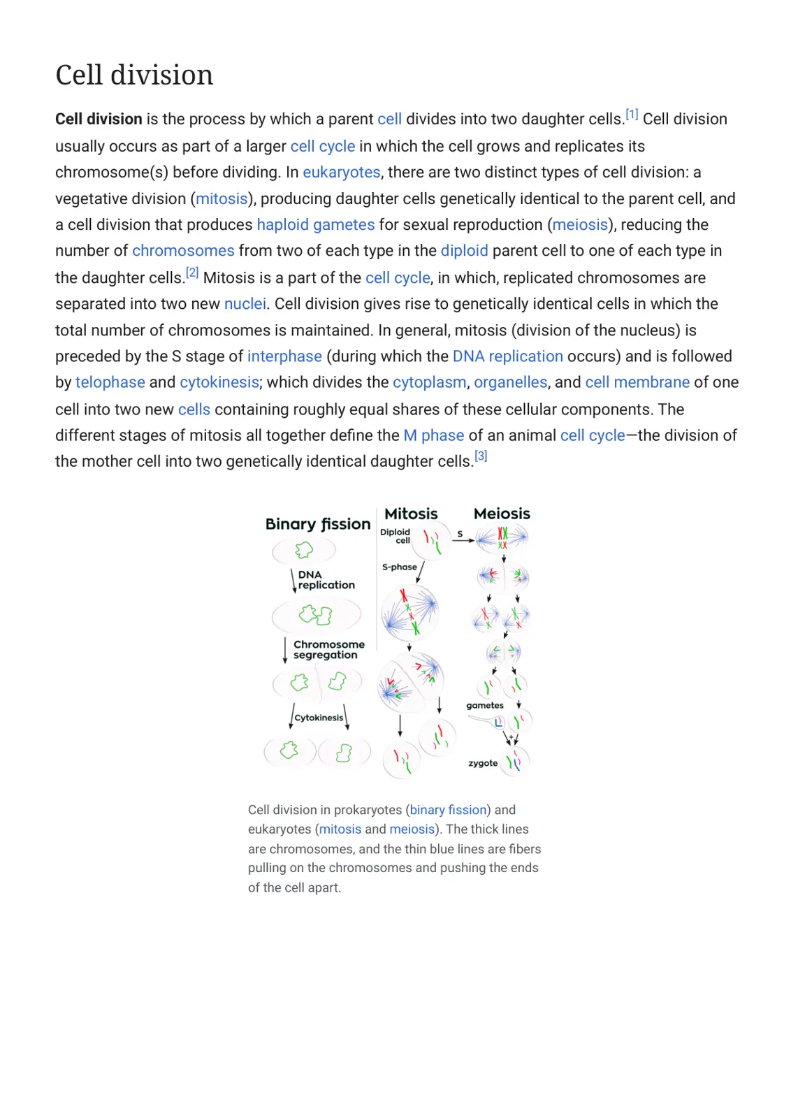 غلاف تقرير Cell Division