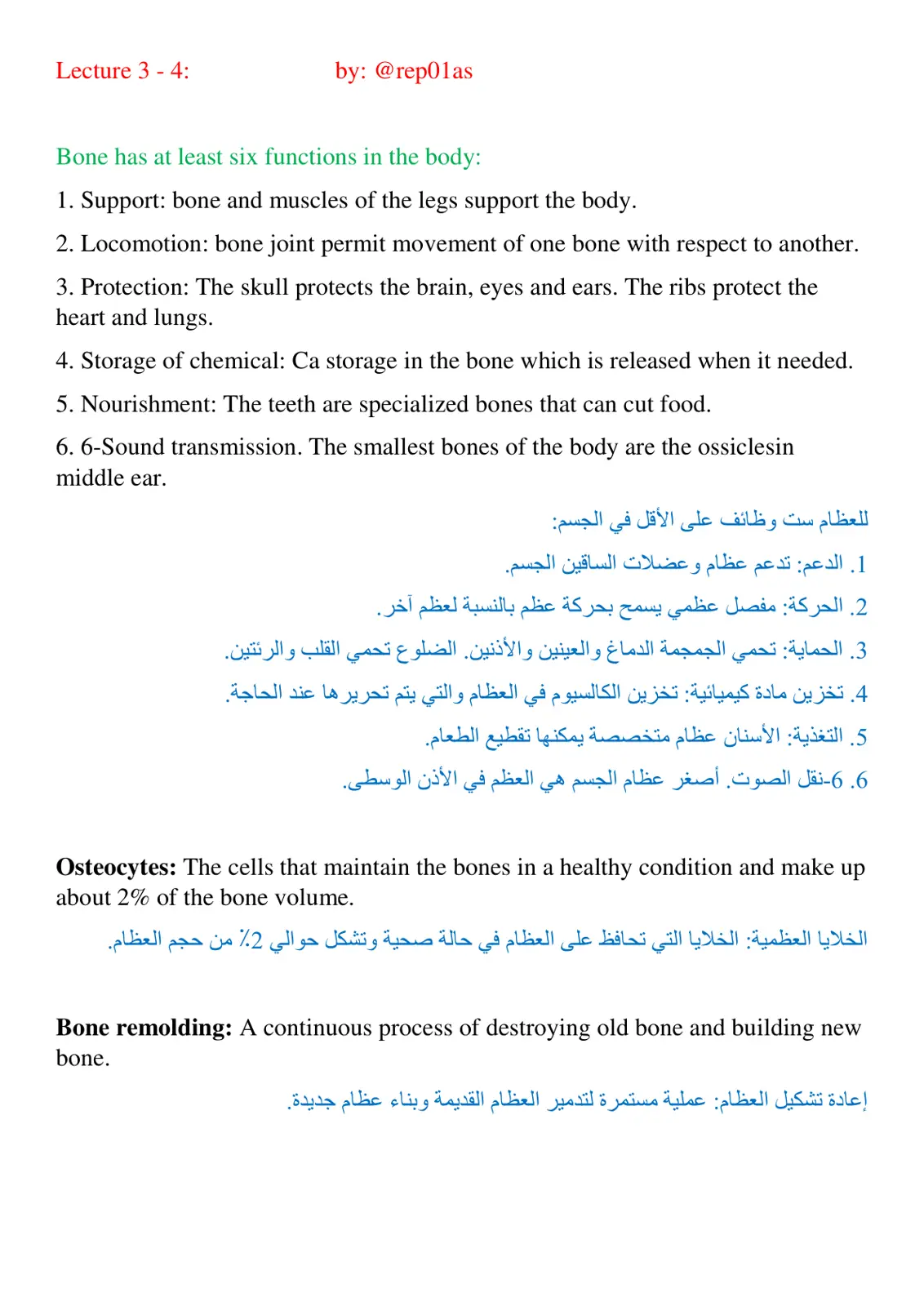 غلاف تقرير Lecture 3 - 4: