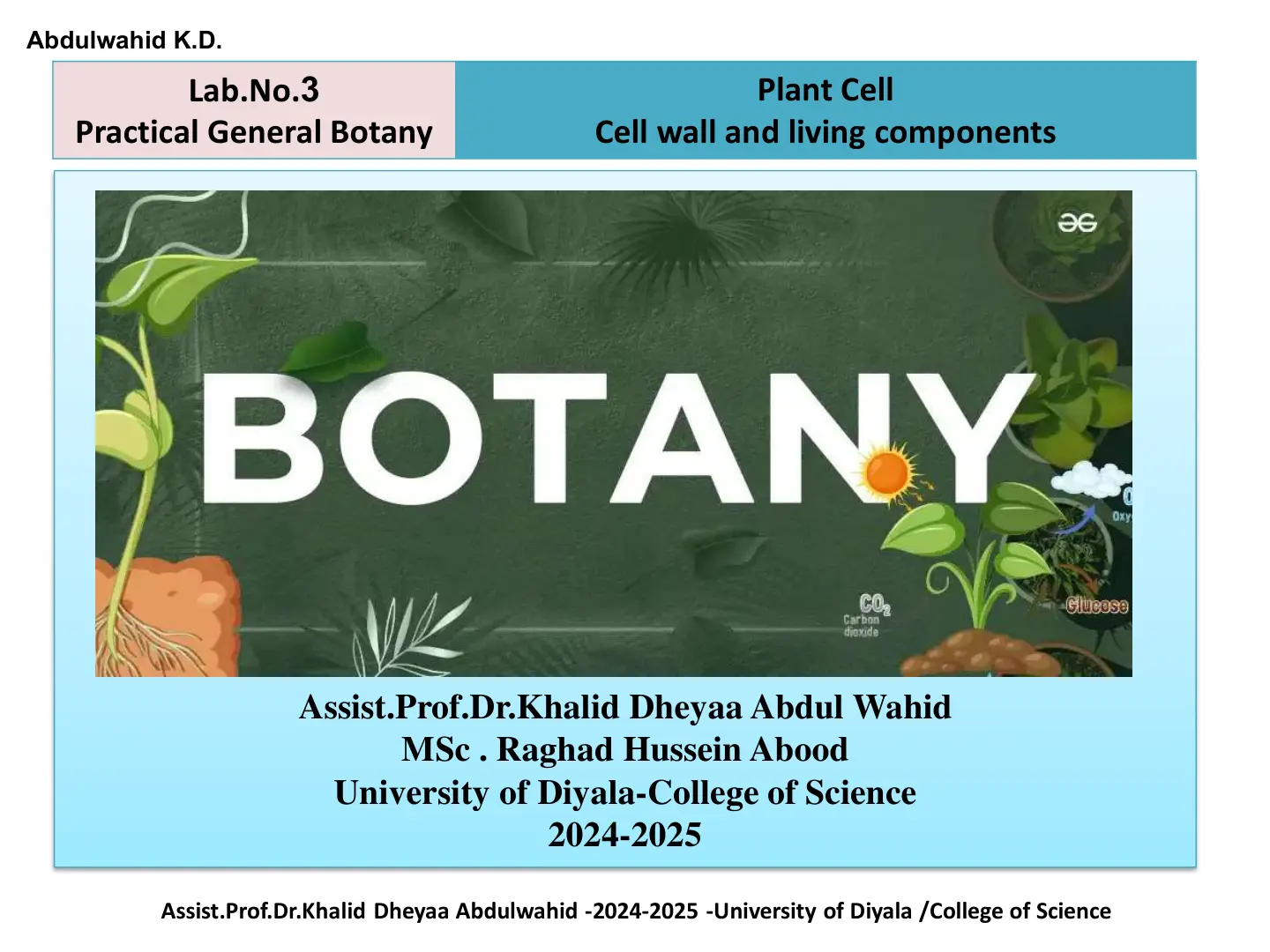 غلاف تقرير Practical General Botany - Lab. No.3 Plant Cell - Cell wall and living components