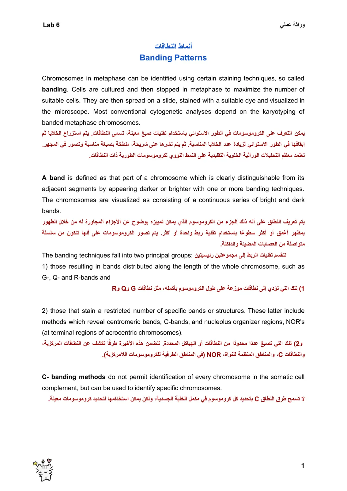غلاف تقرير أنماط النطاقات