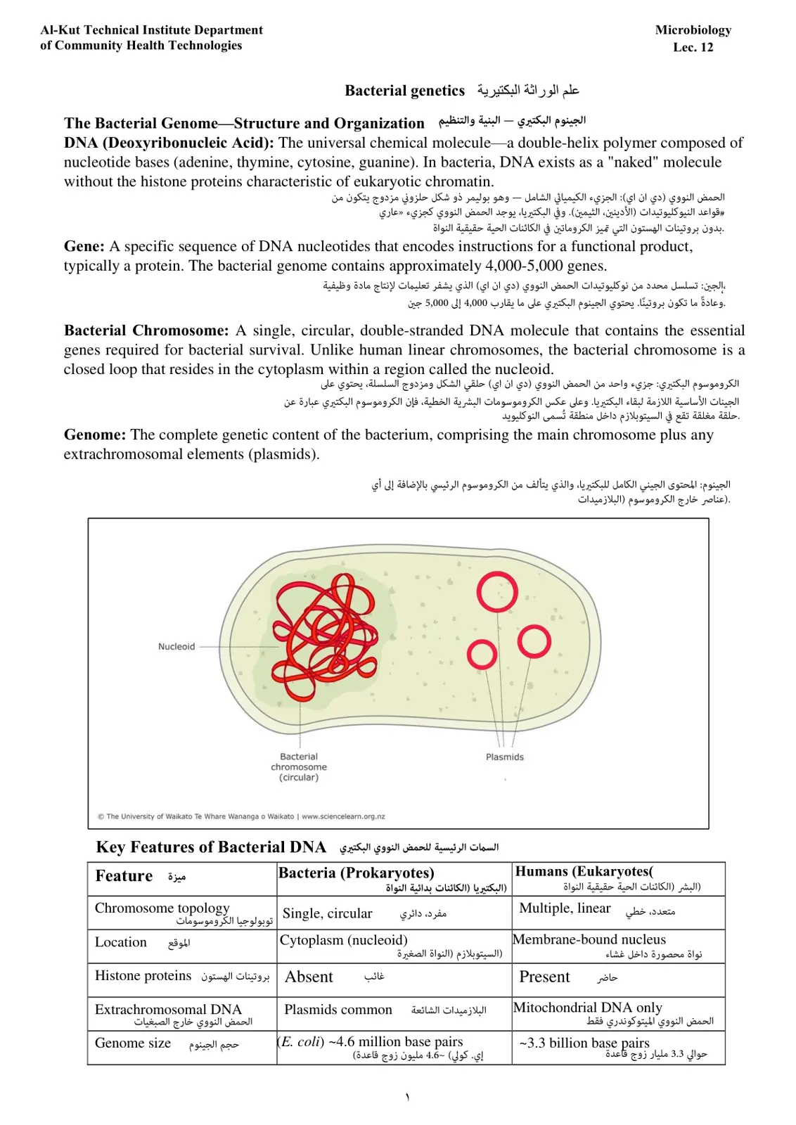 غلاف تقرير Bacterial Genetics: Bacterial Genome Structure and Organization