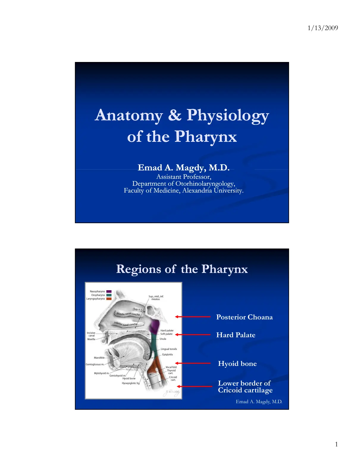 غلاف تقرير Anatomy & Physiology of the Pharynx