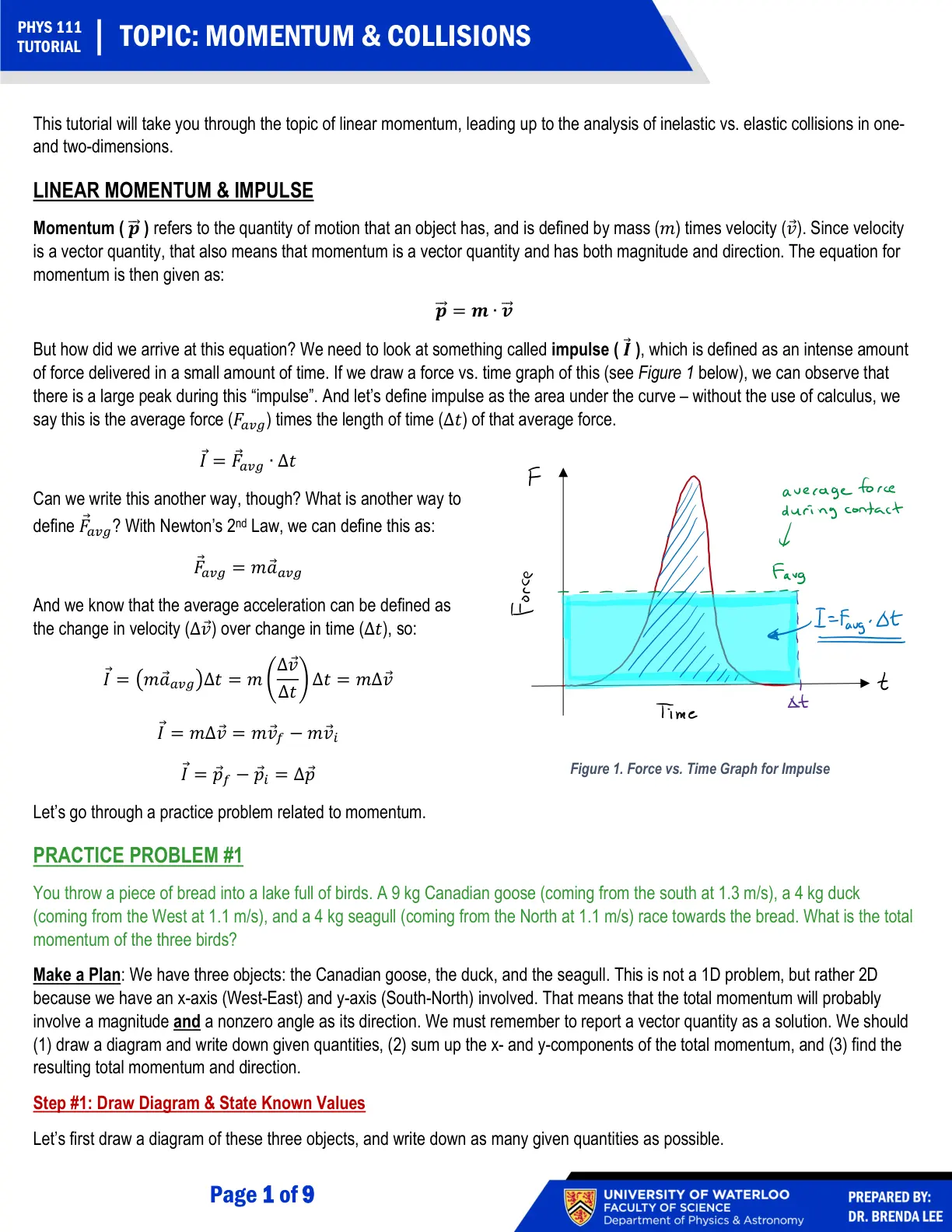 غلاف تقرير Momentum & Collisions