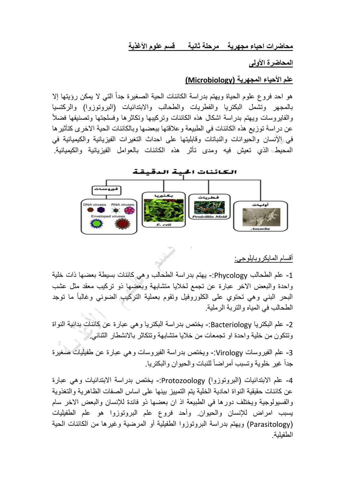 غلاف تقرير محاضرات أحياء مجهرية مرحلة ثانية قسم علوم الأغذية - المحاضرة الأولى: علم الأحياء المجهرية