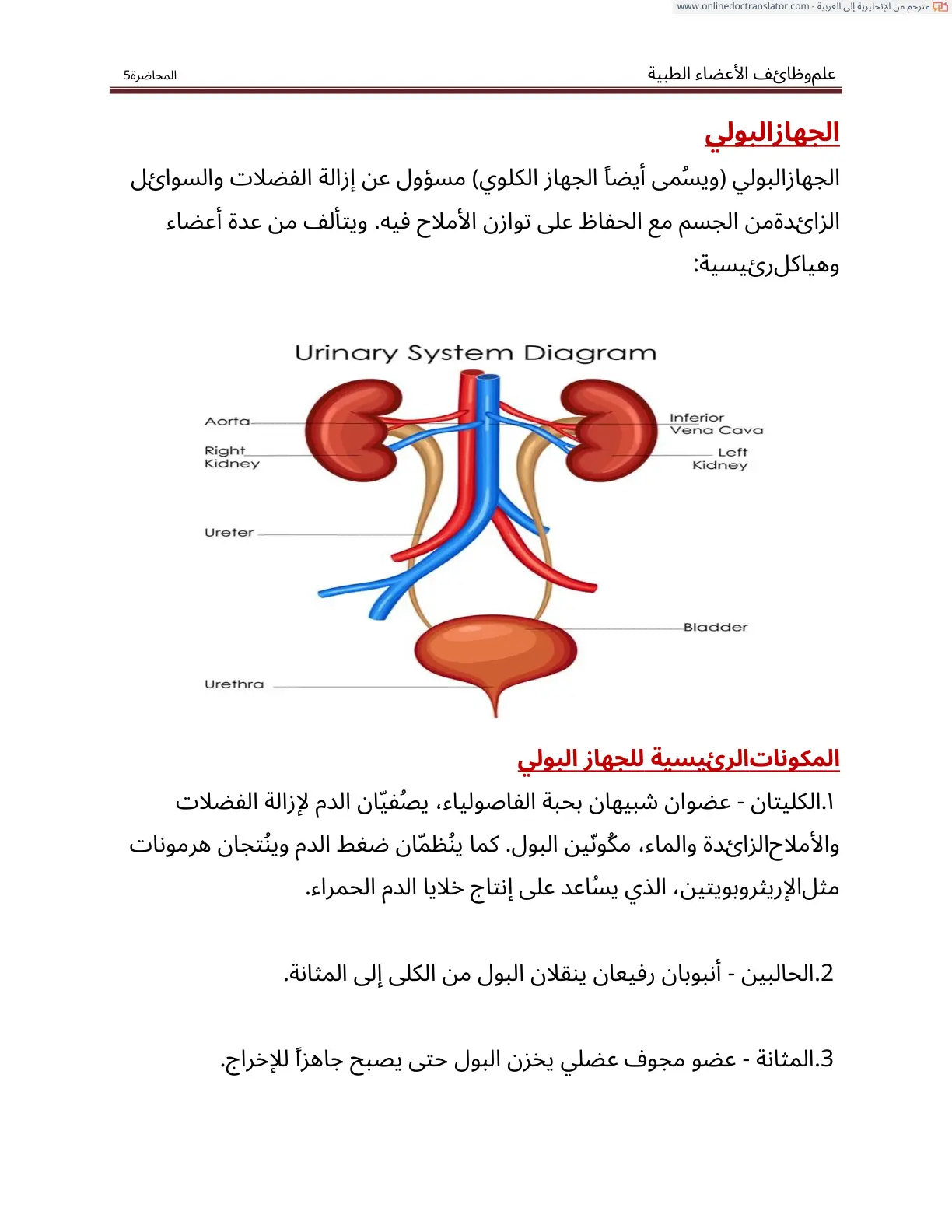 غلاف تقرير علم وظائف الأعضاء الطبية الجهاز البولي المحاضرة 5