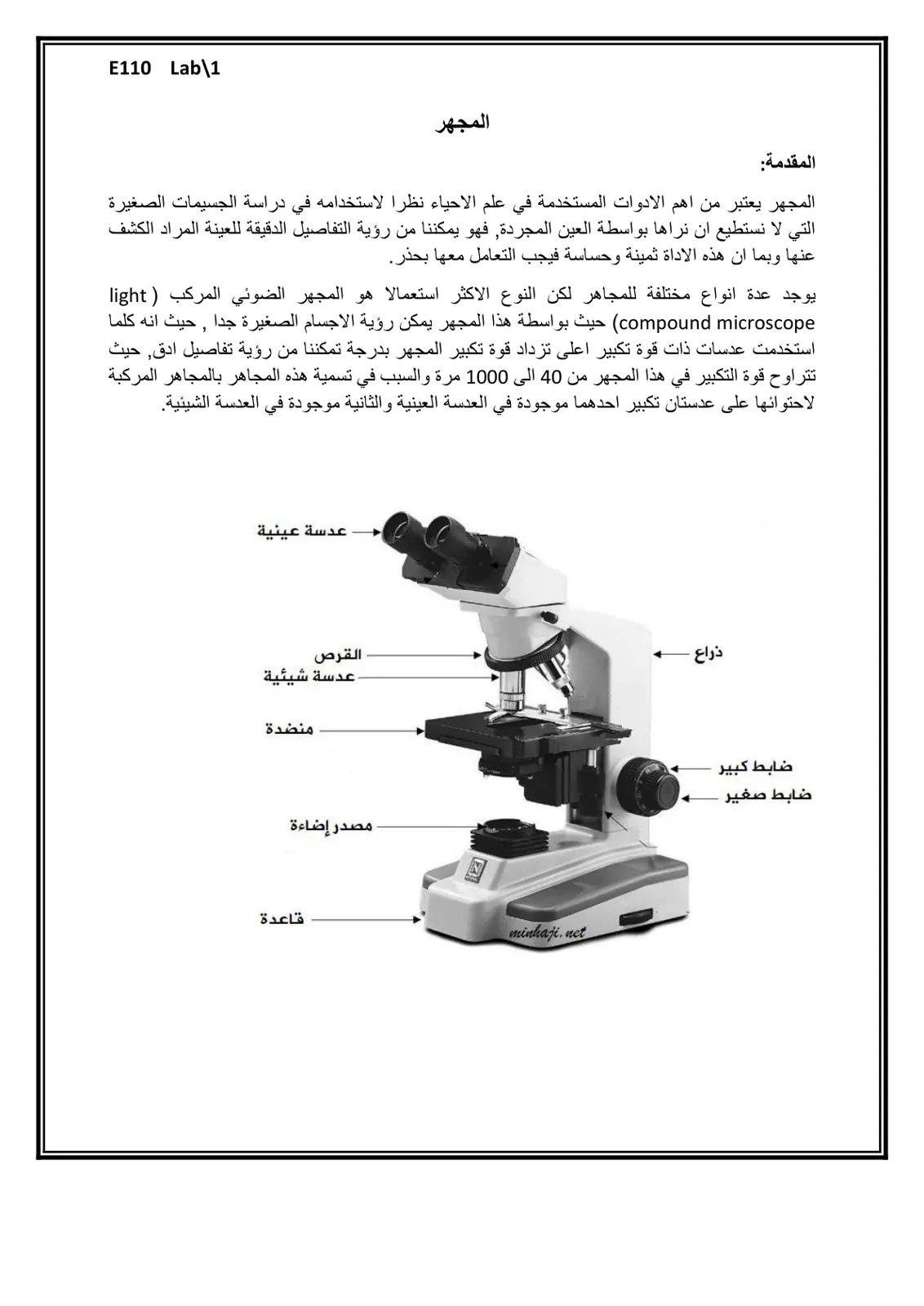 غلاف تقرير المجهر