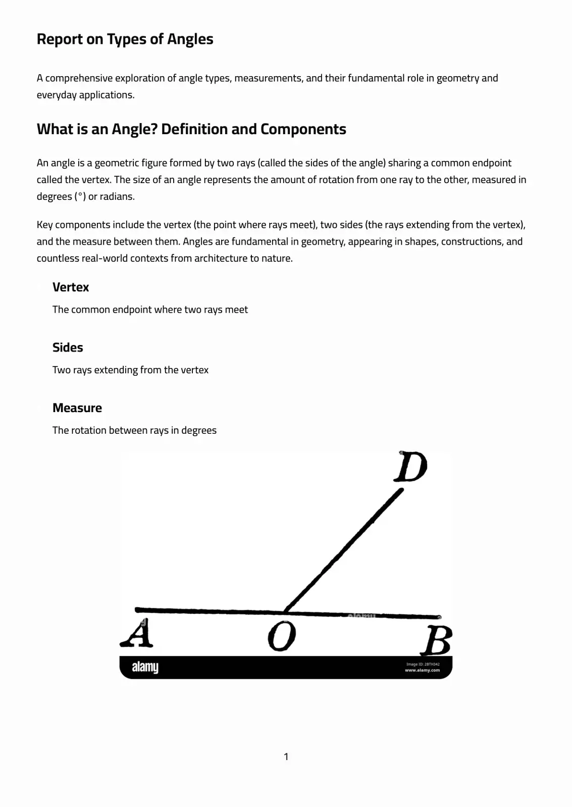 غلاف تقرير Report on Types of Angles