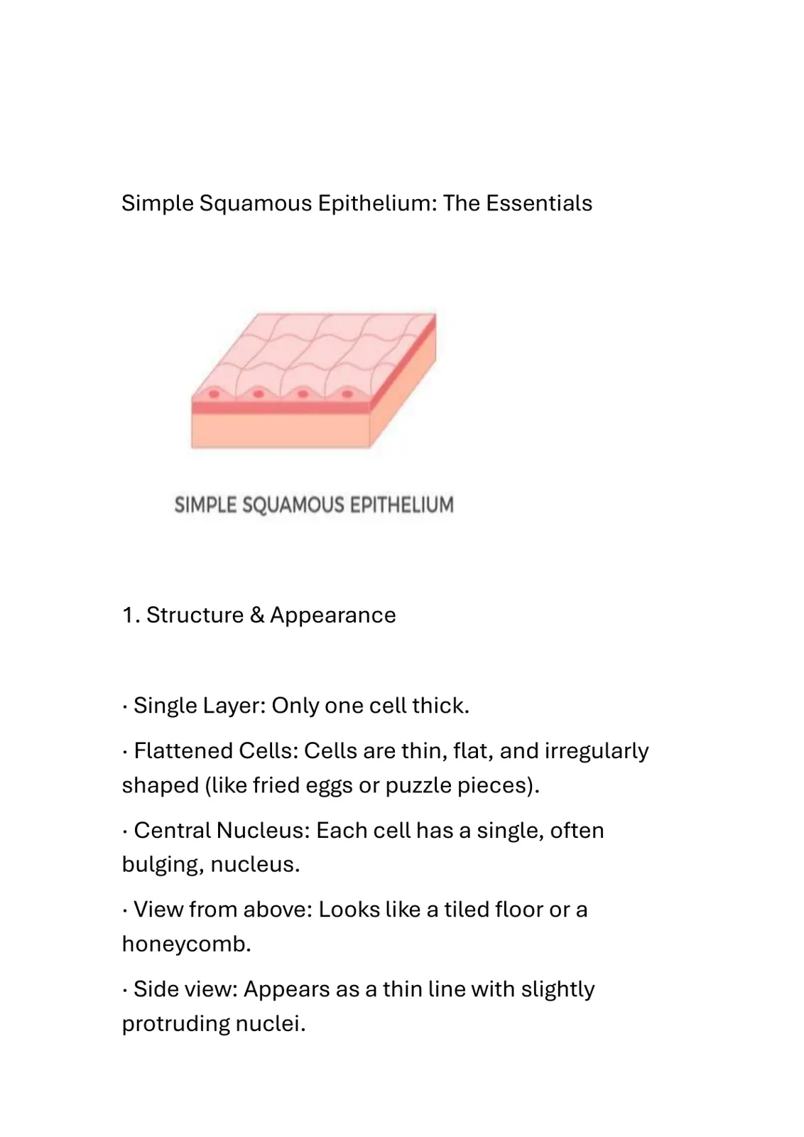 غلاف تقرير Simple Squamous Epithelium: The Essentials