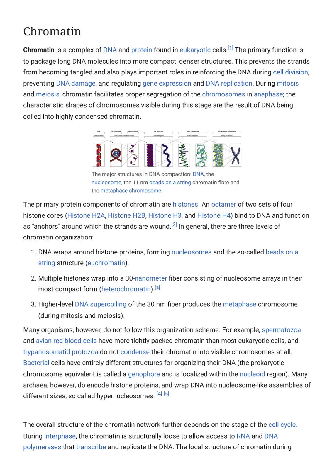 غلاف تقرير Chromatin