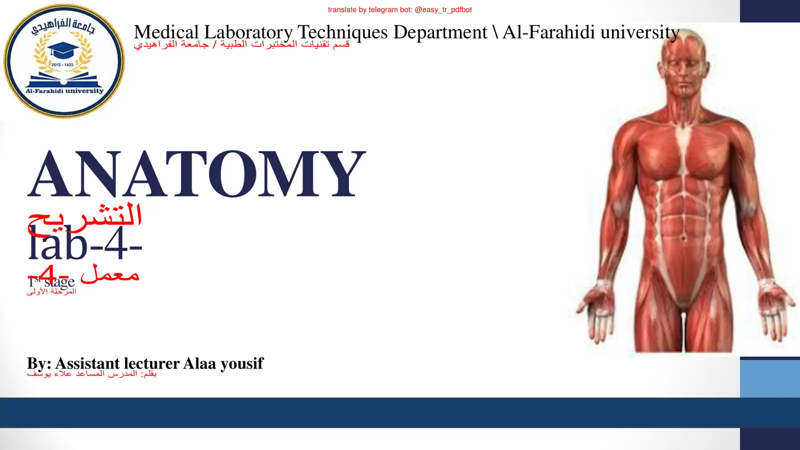 غلاف تقرير ANATOMY التشريح