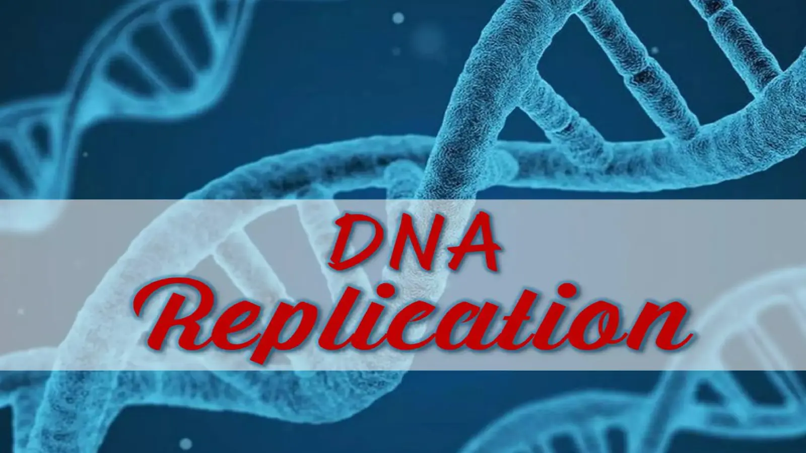 غلاف تقرير DNA Replication