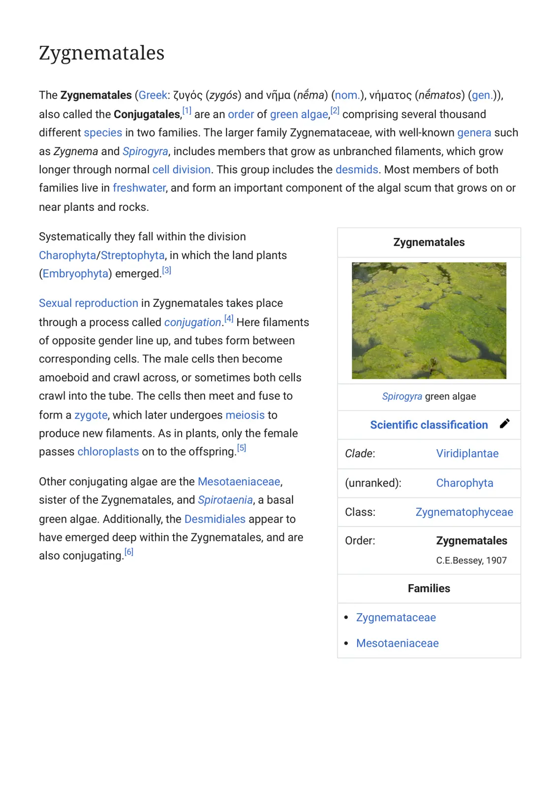غلاف تقرير Zygnematales