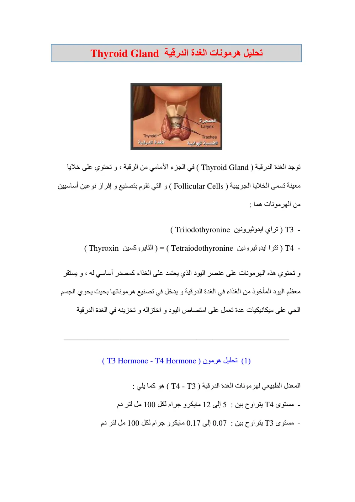 غلاف تقرير تحليل هرمونات الغدة الدرقية Thyroid Gland