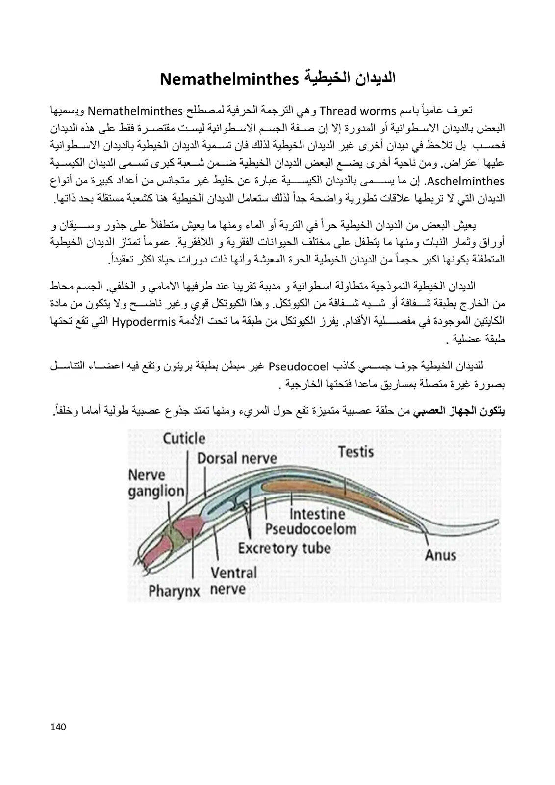 غلاف تقرير الديدان الخيطية Nemathelminthes