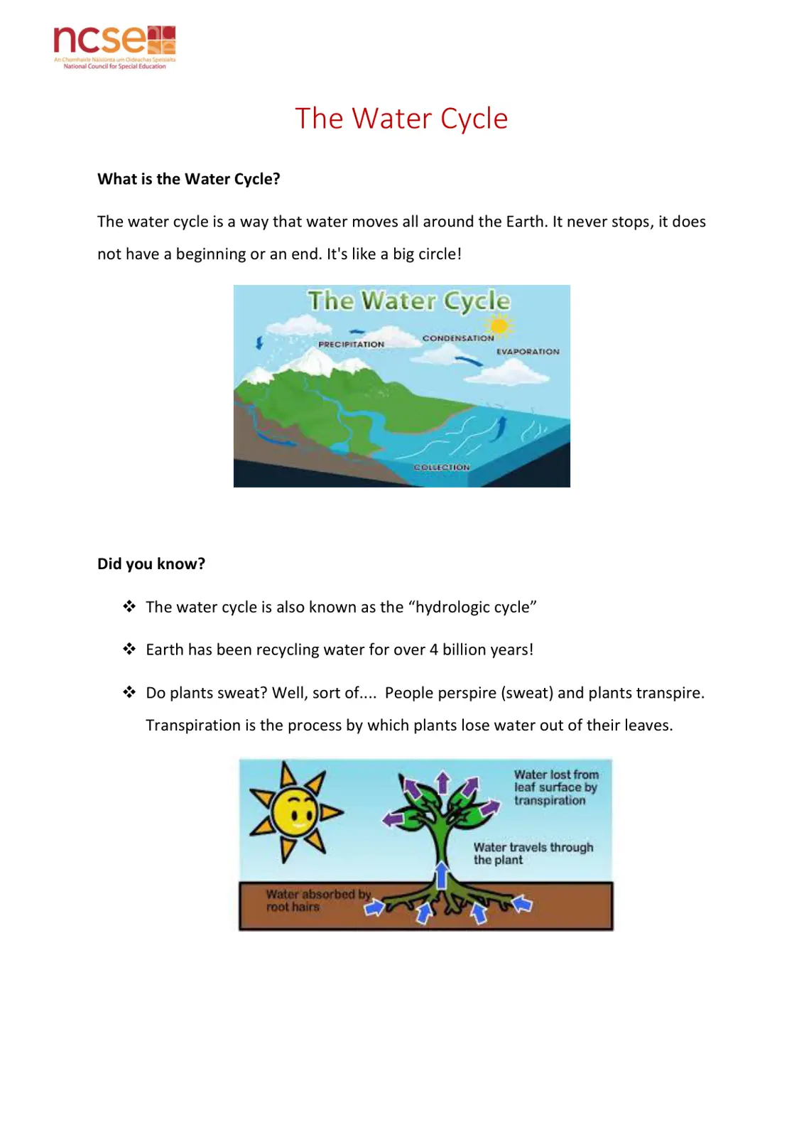 غلاف تقرير The Water Cycle
