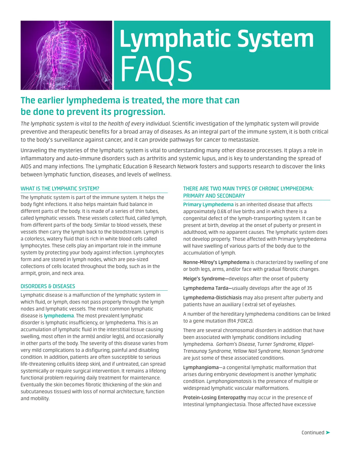 غلاف تقرير Lymphatic System FAQs